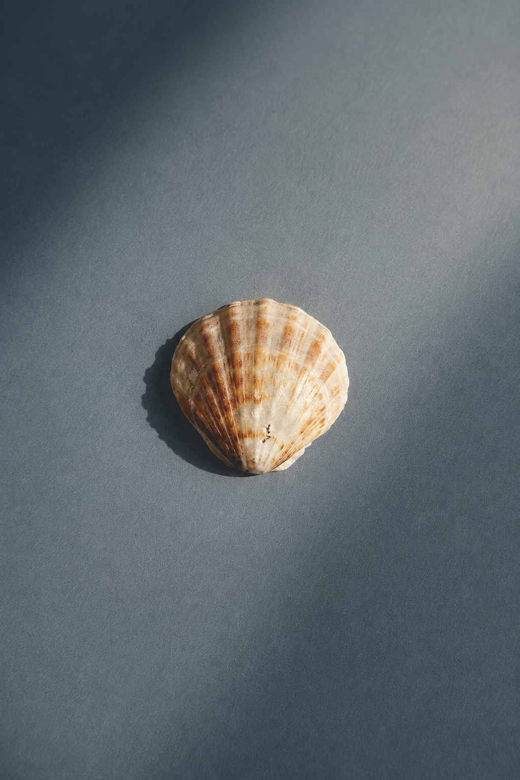 Why we only release small collections.